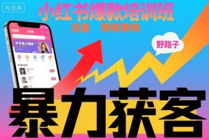小红书爆款培训班，小红书获客野路子流量打法，暴力持续获客-桀创项目掘金社