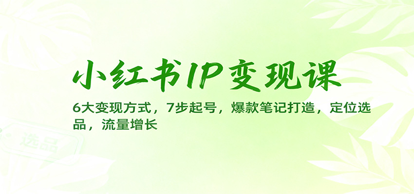 小红书IP变现课:6大变现方式,7步起号,爆款笔记打造,定位选品,流量增长-桀创项目掘金社