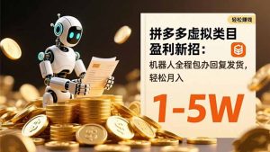 拼多多虚拟类目盈利新招：机器人全程包办回复发货，轻松月入 1-5W-桀创项目掘金社