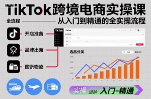 TikTok跨境电商实操课，从入门到精通的全实操流程-桀创项目掘金社