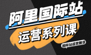 醒目老师·阿里国际站运营系列课(更新11月)-桀创项目掘金社