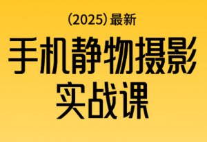金老师·2025爆款手机静物摄影实战课-桀创项目掘金社