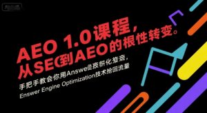 AEO 1.0 课程，从SEO到AE0的基命性转变，手把手教会你用AnswerEngineOptimization技术抢回流量(更新)-桀创项目掘金社