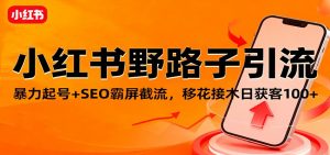 小红书野路子引流，暴力起号+SEO霸屏截流，移花接木日获客100+-桀创项目掘金社