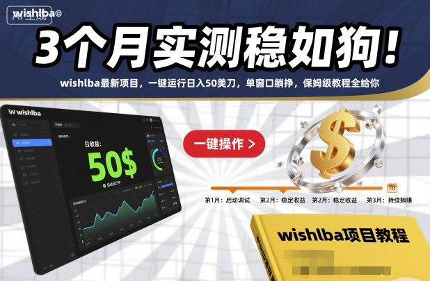 3个月实测稳如狗！wishlba最新项目，一键运行日入50美刀，单窗口躺挣，保姆级教程全给你【揭秘】-桀创项目掘金社