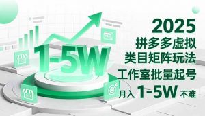 2025 拼多多虚拟类目矩阵玩法，工作室批量起号，月入 1-5W 不难-桀创项目掘金社