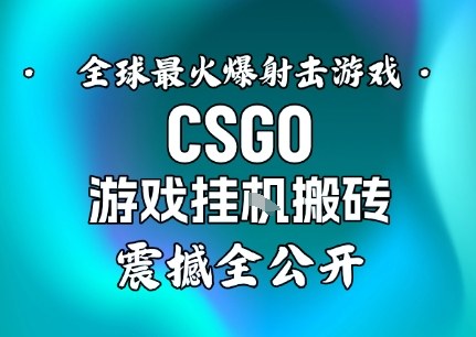 【年底大揭秘】基于全球最火爆的射击CSGO游戏挂G搬砖,日入5张+,震撼公开-桀创项目掘金社