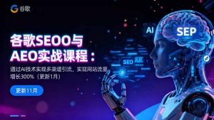 谷歌SEO与AEO实战课程：通过AI技术实现多渠道引流，实现网站流量增长300%-桀创项目掘金社