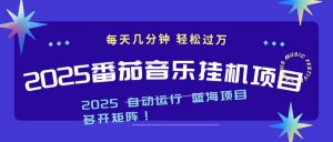 2025最新挂机番茄音乐项目，每天几分钟，日入1000＋-桀创项目掘金社