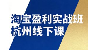 淘宝盈利实战班杭州线下课12月26-28日(音频+字幕)，帮你掌握SOP流程+12门核心技术-桀创项目掘金社