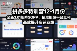 拼多多特训营12-1月份,全新3.01矩阵Sop,精准把握平台红利,高效提升店铺业绩-桀创项目掘金社