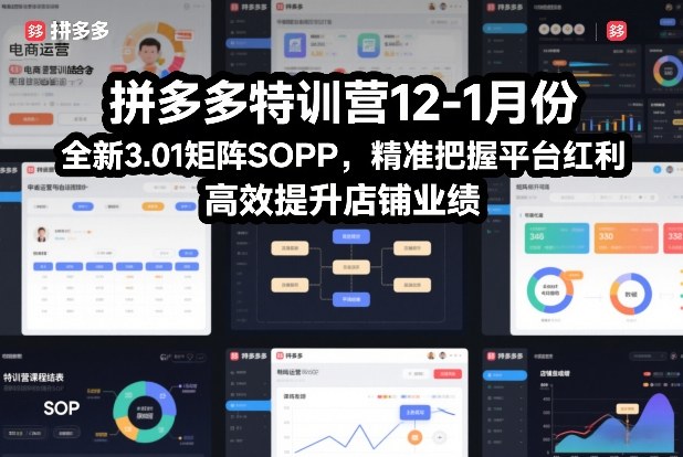 拼多多特训营12-1月份,全新3.01矩阵Sop,精准把握平台红利,高效提升店铺业绩-桀创项目掘金社