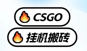 真全网独家CSGO挂G，最新玩法,单日捡漏1K+，不用电脑，不用打游戏【揭秘】-桀创项目掘金社