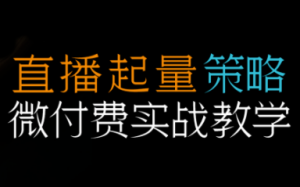 半野老师·直播带货起量与微付费必学课视频号(更新2026)-桀创项目掘金社