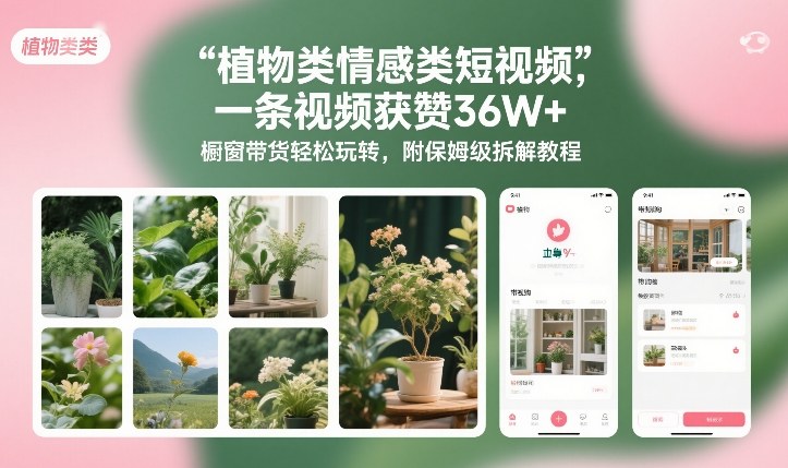 植物类情感类短视频，一条视频获赞36W+，橱窗带货轻松玩转，附保姆级拆解教程-桀创项目掘金社