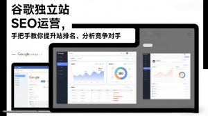 谷歌独立站SEO运营,手把手教你提升网站排名、分析竞争对手(更新2026)-桀创项目掘金社