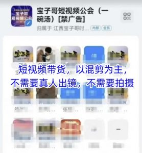 宝子哥头部团队短视频带货，以混剪为主，不需要真人出镜，不需要拍摄【更新26年1月】-桀创项目掘金社