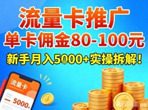流量卡推广，单卡佣金80-100，新手月入5k+实操拆解！-桀创项目掘金社