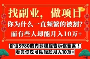 价值3980的网创内部课程，告诉你互联网创业月入10个W的秘密【揭秘】-桀创项目掘金社