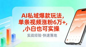 AI私域爆款玩法，单条视频涨粉6W+，小白也可实操-桀创项目掘金社