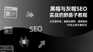 黑帽与灰帽SEO实战的野路子教程：泛目录秒收，蜘蛛池搭桥，霸屏截流，7天抢占首页暴利词-桀创项目掘金社