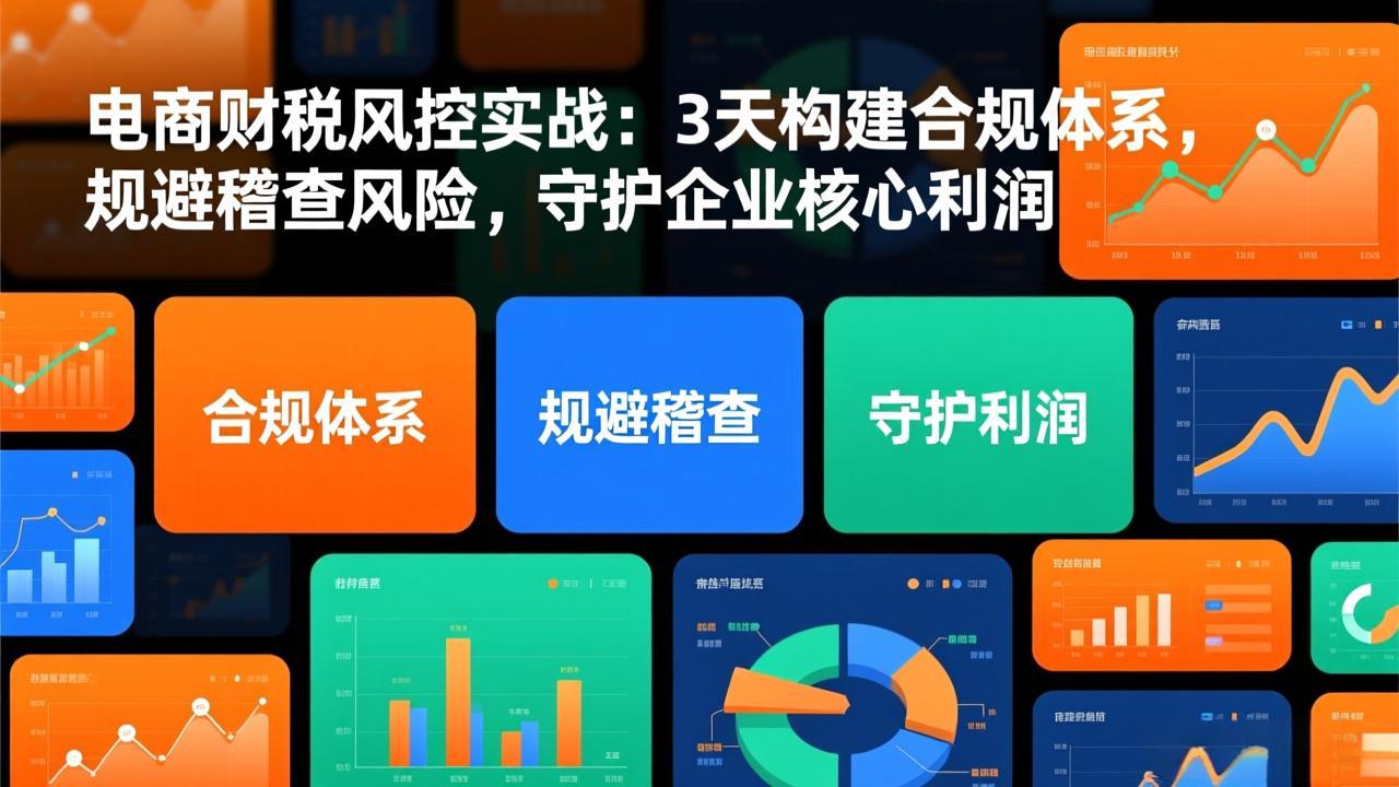 电商财税风控实战：3天构建合规体系，规避稽查风险，守护企业核心利润-桀创项目掘金社