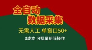 全自动数据采集，无需人工，单窗口50+，0成本可批量矩阵操作【揭秘】-桀创项目掘金社