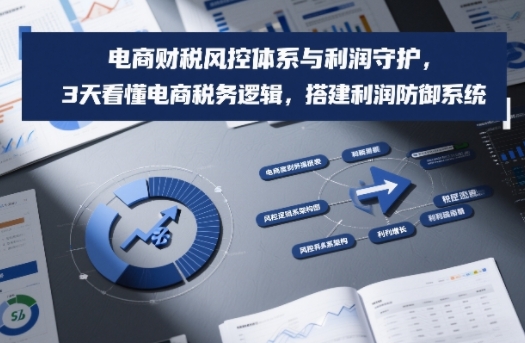 电商财税风控体系与利润守护，3天看懂电商税务逻辑，搭建利润防御系统-桀创项目掘金社