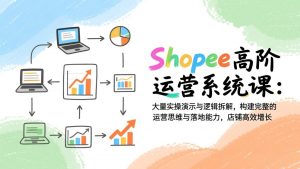 Shopee高阶运营系统课：大量实操演示与逻辑拆解，构建完整的运营思维与落地能力，店铺高效增长-桀创项目掘金社
