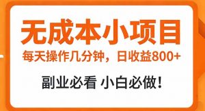 无成本小项目 每天操作几分钟，真实日收益800+ 副业必看 小白必做！-桀创项目掘金社