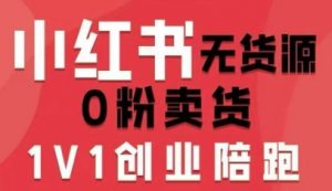 小红书无货源0粉电商课，开店准备、选品策略、笔记撰写、视频剪辑、数据分析、账号打造、资料文档(更新26年1月)-桀创项目掘金社