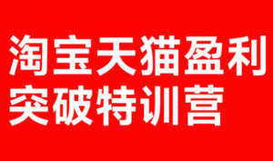 玺承·淘宝天猫盈利突破特训营(25年12月线下课)【音频+字幕】-桀创项目掘金社