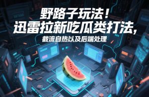 野路子玩法！迅雷拉新吃瓜类打法，截流自热以及后端处理-桀创项目掘金社