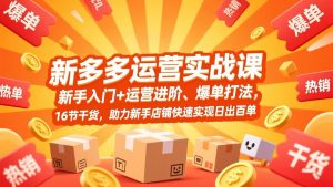 拼多多运营实战课，新手入门+运营进阶、爆单打法，16节干货，助力新手店铺快速实现日出百单-桀创项目掘金社
