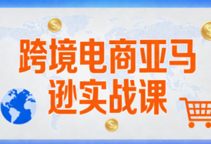 丝丝老师·跨境电商亚马逊实战课(更新2月)-桀创项目掘金社