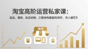 淘宝高阶运营私家课:选品、爆款、全店动销,三模块构建盈利闭环,月入破5万(更新26年2月-桀创项目掘金社