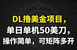 DL撸美金项目，单日单机50美刀，操作简单，可矩阵多开-桀创项目掘金社