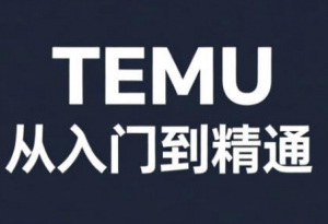 跨境麦冬·TEMU从入门到精通-桀创项目掘金社
