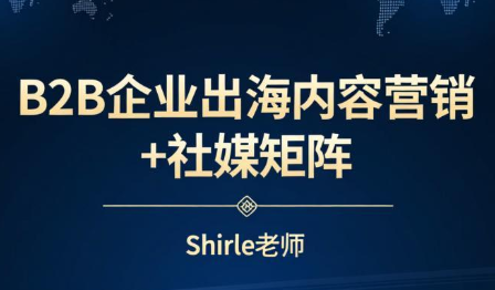 shirle老师·B2B企业出海内容营销+社媒矩阵-桀创项目掘金社