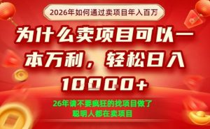 一单净利润1K+,26年想年入100个W,死磕卖项目就够了【揭秘】-桀创项目掘金社
