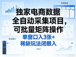 独家电商数据全自动采集项目，可批量矩阵操作，单窗口日入3张+，稀缺玩法闭眼入【揭秘】-桀创项目掘金社