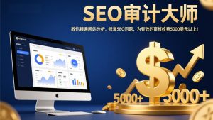 SEO审计大师：教你精通网站分析，修复SEO问题，为有效的审核收费5000美元以上！-桀创项目掘金社