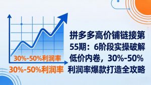 拼多多高价铺链接第55期：6阶段实操破解低价内卷，30%-50%利润率爆款打造全攻略-桀创项目掘金社