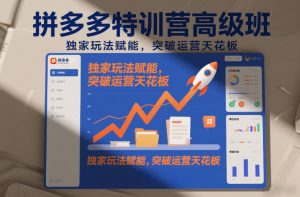 拼多多特训营高阶班，独家玩法赋能，突破运营天花板(更新26年3月19日)-桀创项目掘金社