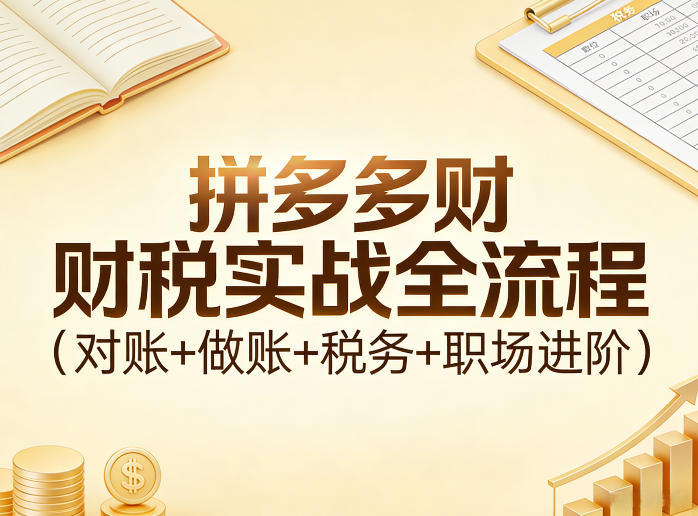 拼多多财税实战全流程(对账+做账+税务+职场进阶)-桀创项目掘金社