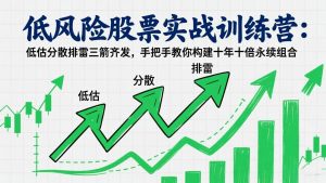 低风险股票实战训练营:低估分散排雷三箭齐发,手把手教你构建十年十倍永续组合-桀创项目掘金社