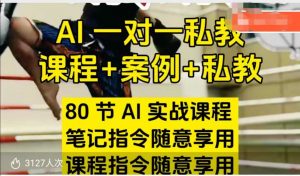 AI指令实战课，课程+案例，80节AI实战课程，笔记指令随意享用，课程指令随意享用(更新26年3月)-桀创项目掘金社