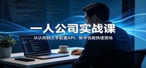 一人公司实战课：从认知到上手配置API，新手也能快速落地-桀创项目掘金社