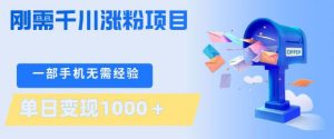 刚需千川涨粉项目，一部手机无需技术，单日变现1k+，当天做当天见收益【揭秘】-桀创项目掘金社