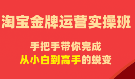 飓风电商·淘宝金牌运营实操班-桀创项目掘金社
